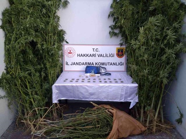 Hakkari'de 4 kilo 421 gram esrar ele geçirildi