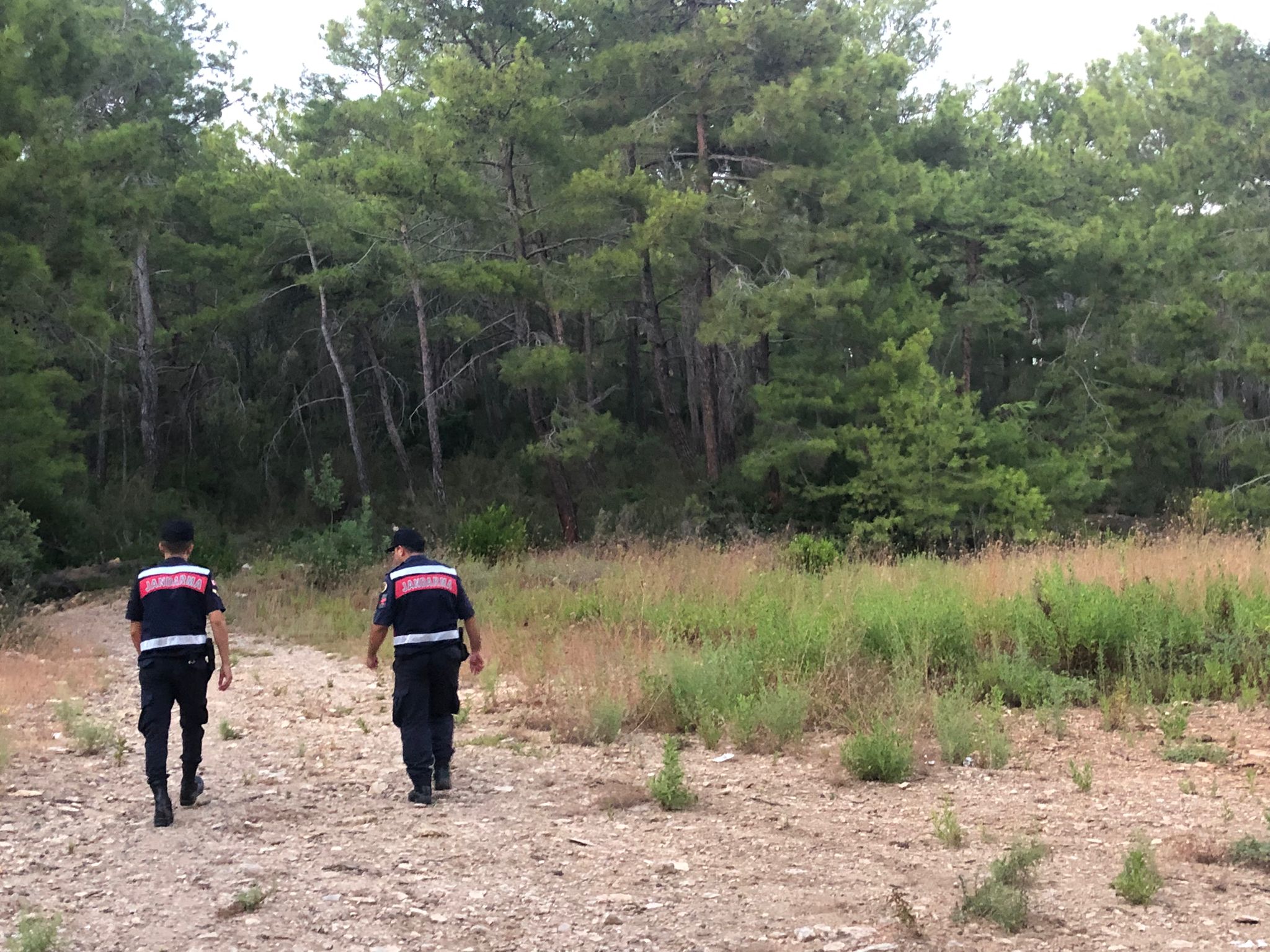 GYROCOPTER İLE HAVADAN ORMANLIK ALANLARIN KONTROLÜ YAPILDI