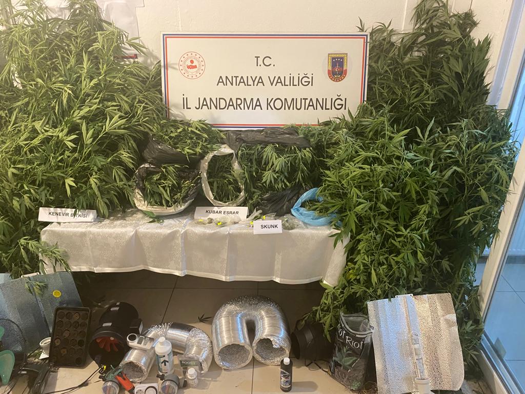 JANDARMA DAN KENEVİR TARLASINA BASKIN