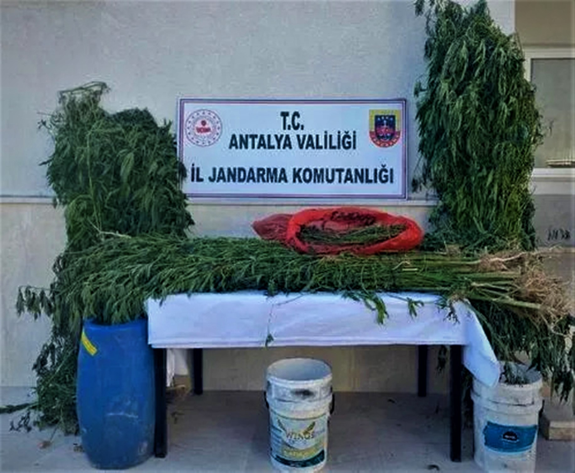 Antalya, Jandarma ekiplerinden uyuşturucu operasyonu