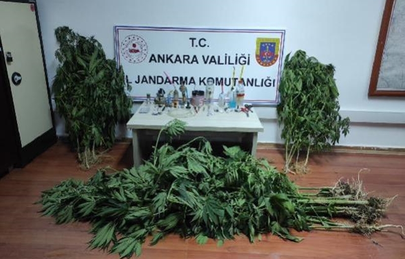 Ankara Jandarma’dan uyuşturucu operasyonu