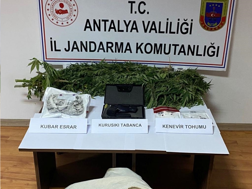 Antalya'da uyuşturucu yetiştirdiği iddiasıyla 1 kişi gözaltına alındı