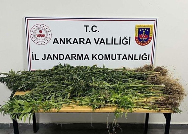 Ankara Jandarma Komutanlığı'ndan Uyuşturucu Operasyonu: 6 Gözaltı