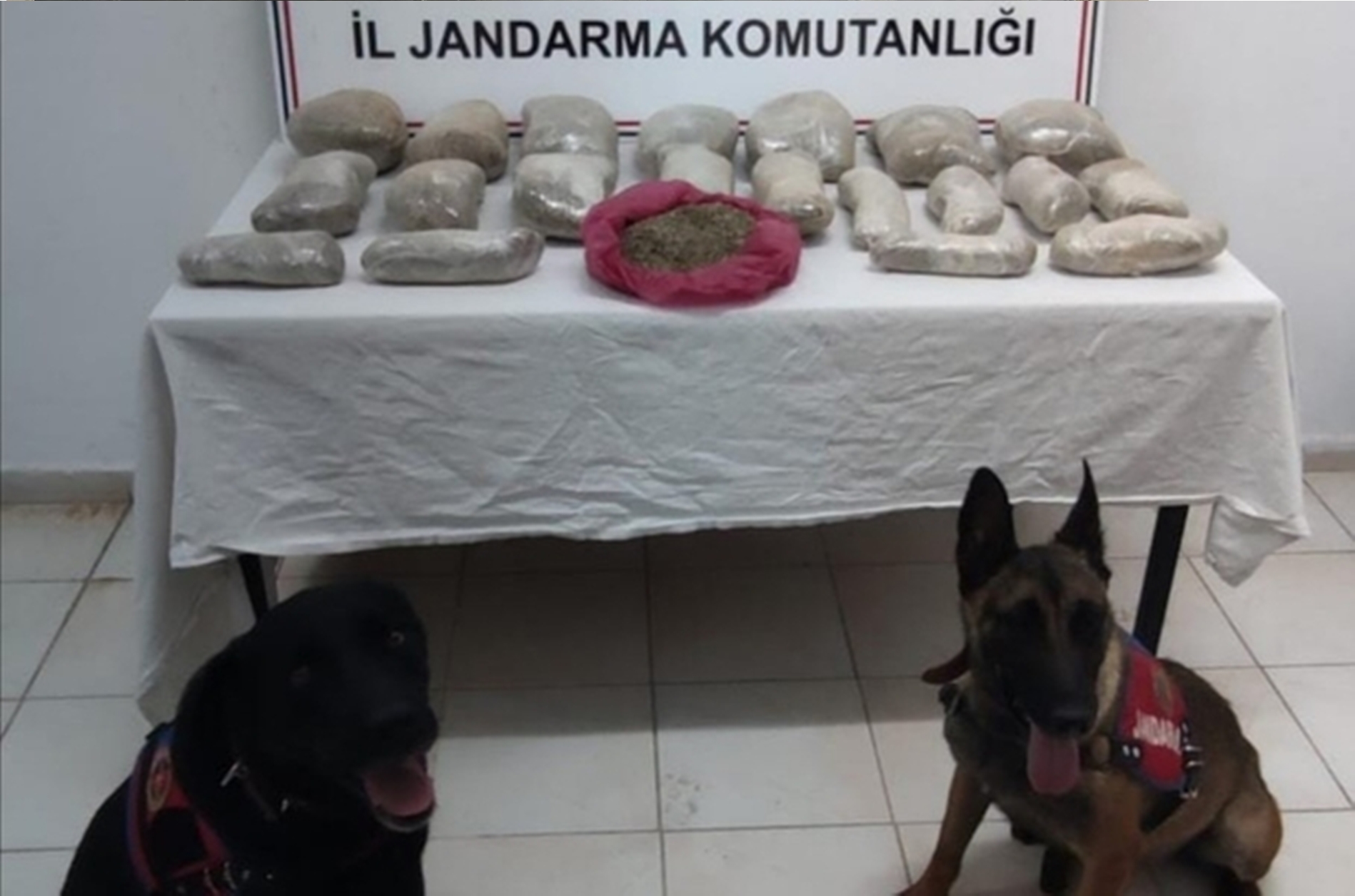 Şanlıurfa’da 11 kilogram bonzai ele geçirildi