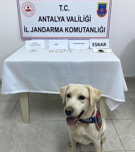 Antalya'da jandarmanın durdurduğu otomobilde uyuşturucu çıktı
