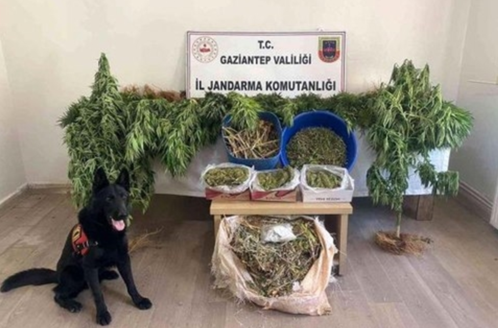 Gaziantep'te 18 kilo 500 gram esrar ele geçirildi
