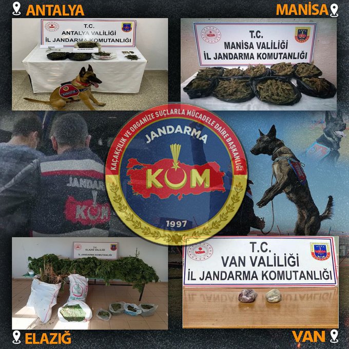 Jandarmadan uyuşturucu operasyonları