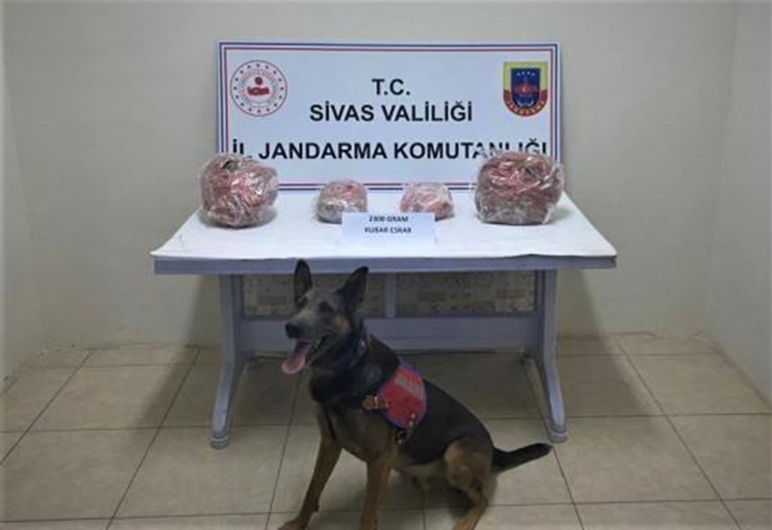 Sivas'ta jandarmadan uyuşturucu operasyonu