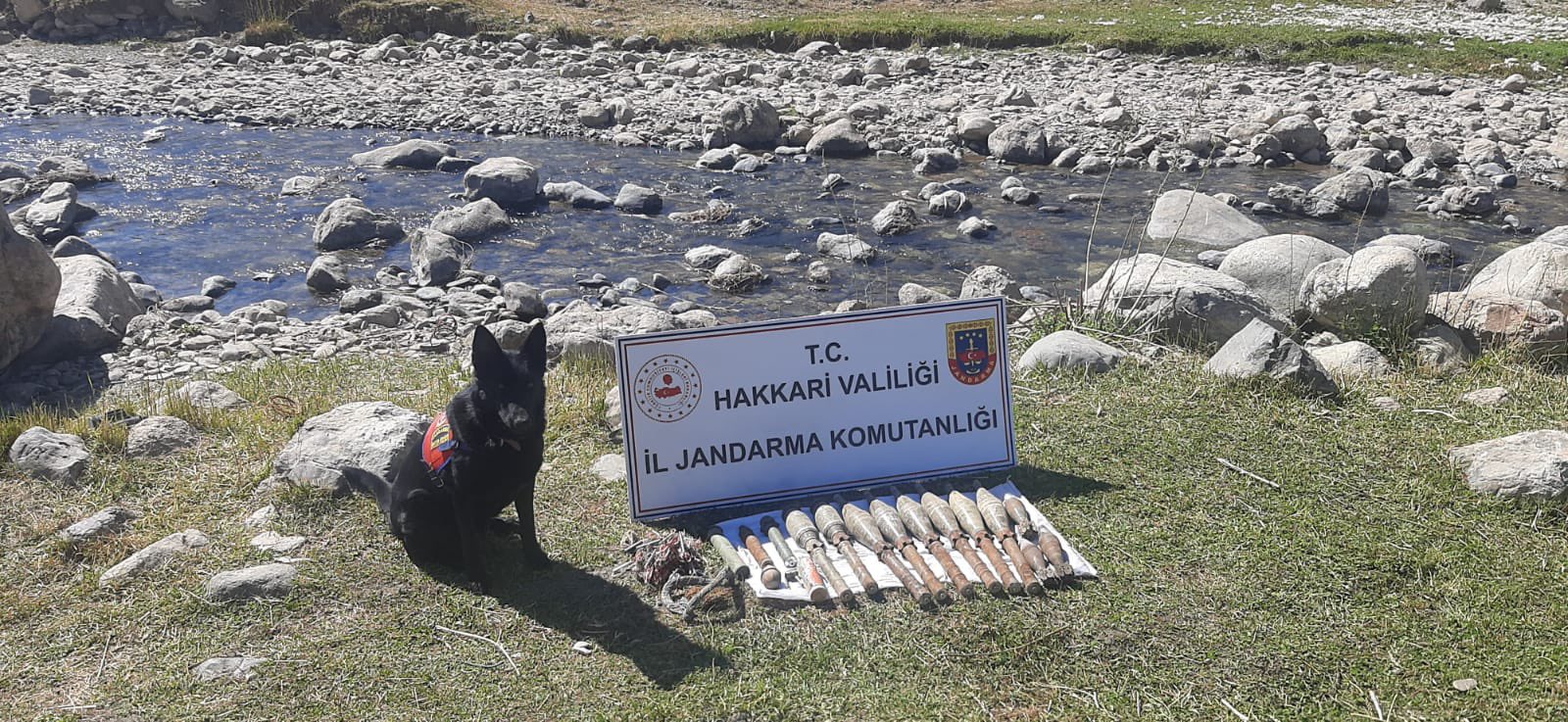 Hakkari’de silah ve mühimmat ele geçirildi