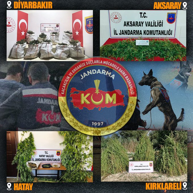 Jandarma’dan uyuşturucu operasyonu