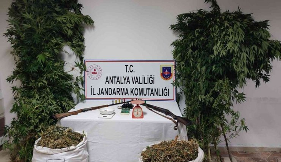 Antalya 'da 10 kilo kubar esrar ve 232 kök Hint keneviri ele geçirildi