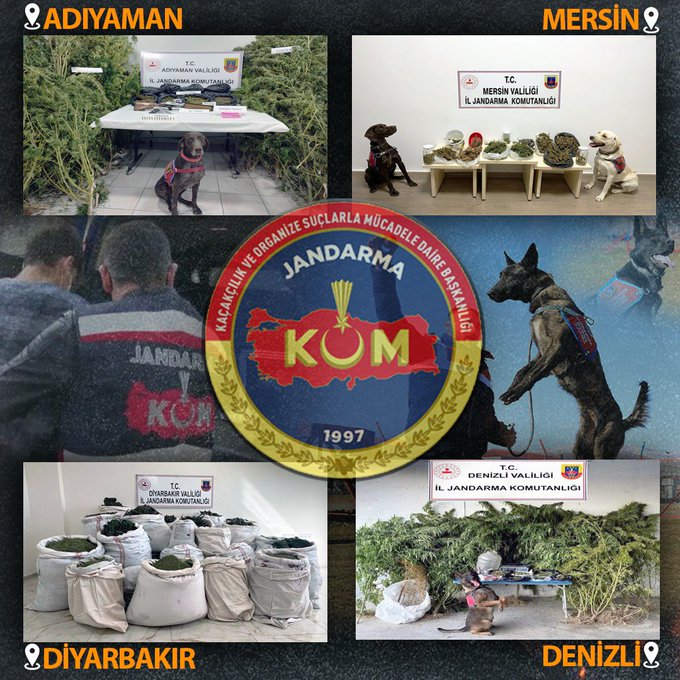Jandarmadan 4 ilde uyuşturucu operasyonu