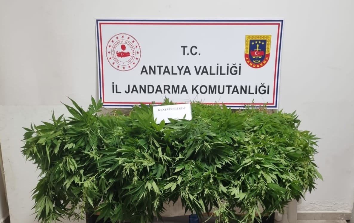UYUŞTURUCUYLA MÜCADELEYE ARA VERMEDEN DEVAM EDİLİYOR